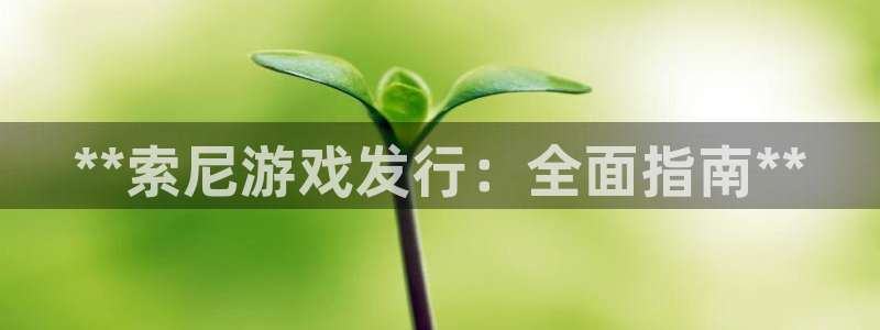 新航娱乐公司扣费流程详解视频