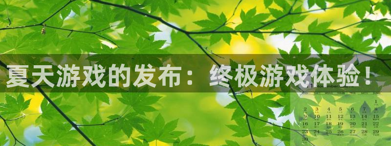 新航娱乐雀7IIII2联他前
