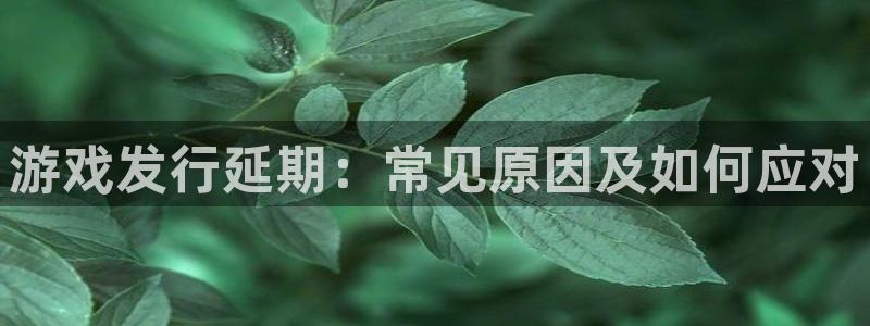 新航娱乐平台用户评价及反馈：游戏发行延期：常见原因及如何应对
