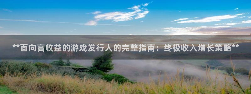 新航娱乐公司简介和历史背景分析：**面向高收益的游戏发行人的完整指南：终极收入增长策略**