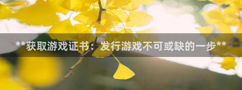 新航娱乐的创始人简介：**获取游戏证书：发行游戏不可或缺的一步**