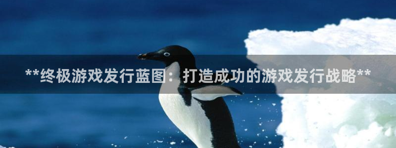 新航娱乐元哥：**终极游戏发行蓝图：打造成功的游戏发行战略**