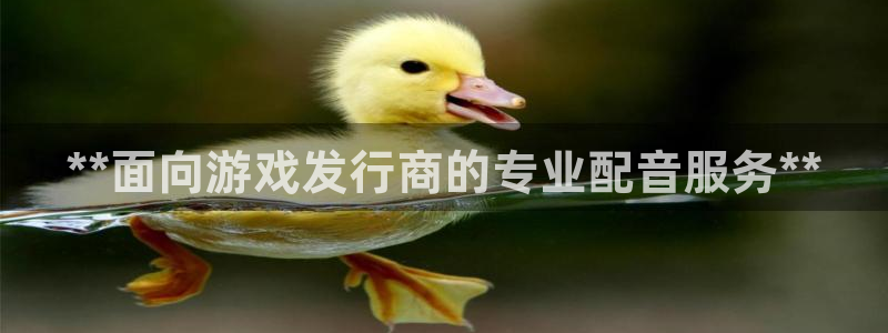 新航娱乐app手机版特色功能介绍：**面向游戏发行商的专业配音服务**