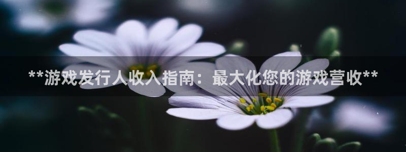 新航娱乐挂机.直开.中国(官方下载)：**游戏发行人收入指南：最大化您的游戏营收**