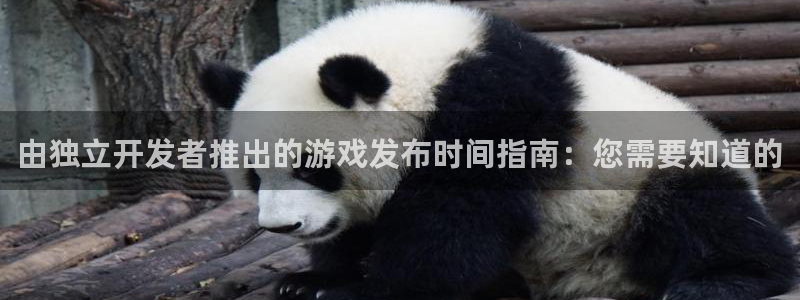 新航娱乐注册平台注册的步骤和注意事项：由独立开发者推出的游戏发布时间指南：您需要知道的