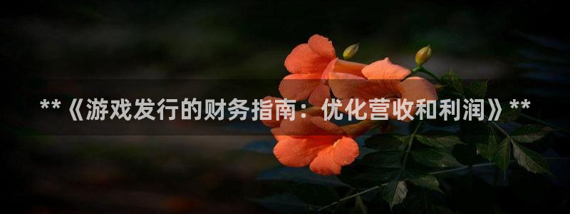 新航娱乐官网最新版本更新内容下载：**《游戏发行的财务指南：优化营收和利润》**