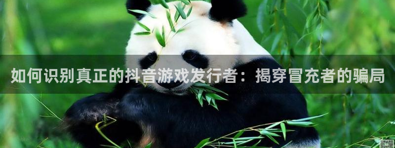 新航娱乐旗下艺人名单表