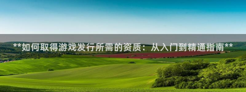 新航娱乐雀7IIII2联他前：**如何取得游戏发行所需的资质：从入门到精通指南**