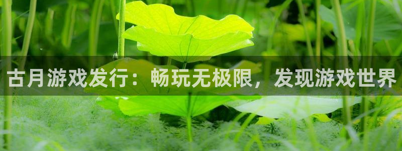 新航娱乐雀7IIII2联他是