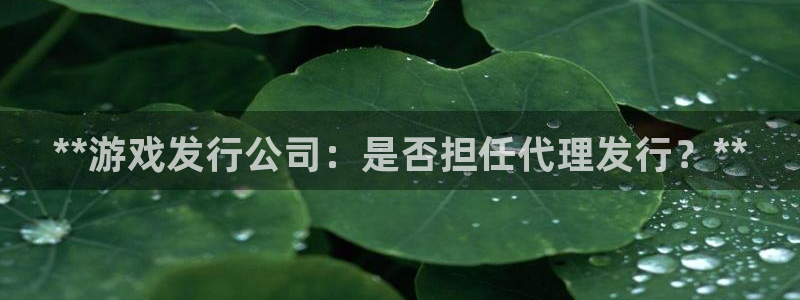 新航娱乐公司简介和历史背景怎么写