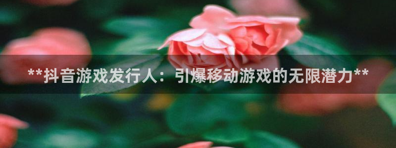 新航娱乐最新招聘信息：**抖音游戏发行人：引爆移动游戏的无限潜力**