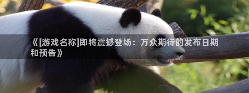 新航娱乐公司扣费流程详解图片大全：《[游戏名称]即将震撼登场：万众期待的发布日期
和预告》