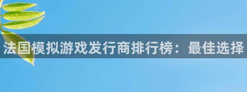 新航娱乐的会员权益与保障：法国模拟游戏发行商排行榜：最佳选择