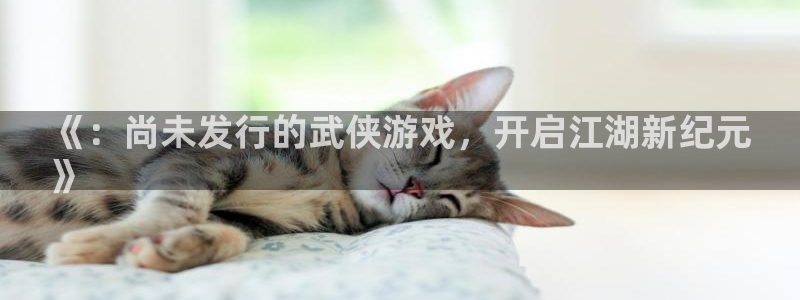 新航娱乐公司扣费流程详解：《：尚未发行的武侠游戏，开启江湖新纪元
》