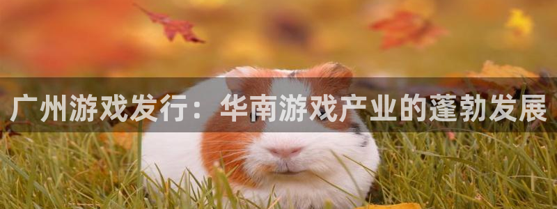 新航娱乐app手机版特色功能介绍在哪：广州游戏发行：华南游戏产业的蓬勃发展