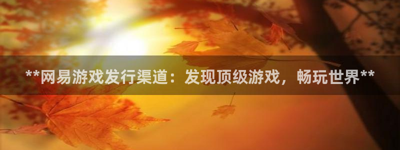 新航娱乐官网最新版本更新内容：**网易游戏发行渠道：发现顶级游戏，畅玩世界**