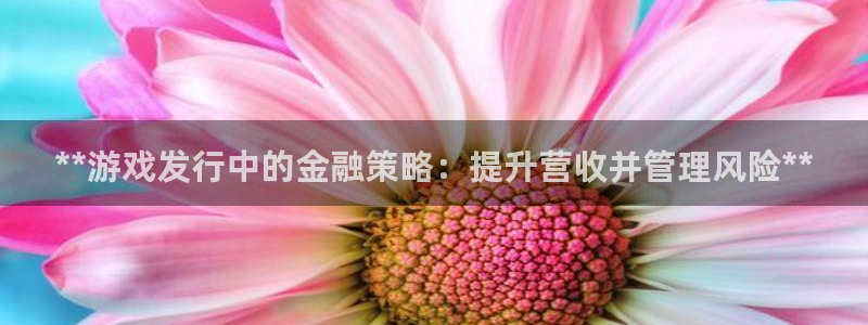 新航娱乐的会员权益与保障在哪：**游戏发行中的金融策略：提升营收并管理风险**