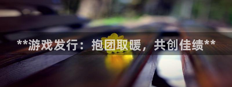 新航娱乐公司扣费流程详解