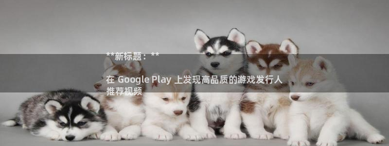 新航娱乐最新招聘信息