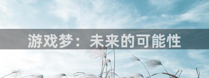 新航娱乐公司扣费流程详解图