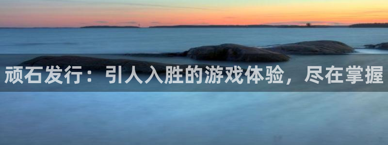 新航娱乐公司简介和历史背景分析