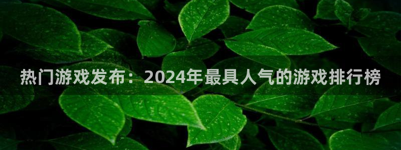 新航娱乐app最新版本更新内容是什么样的：热门游戏发布：2024年最具人气的游戏排行榜