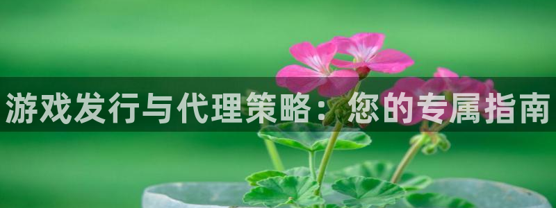 新航娱乐的股东名单和背景介绍是什么：游戏发行与代理策略：您的专属指南