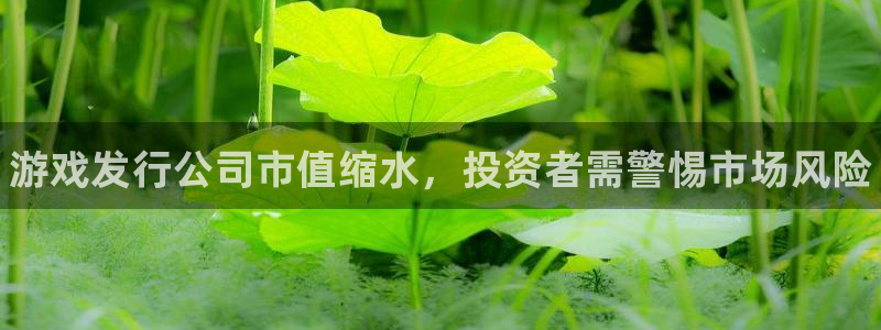 新航娱乐扣款：游戏发行公司市值缩水，投资者需警惕市场风险