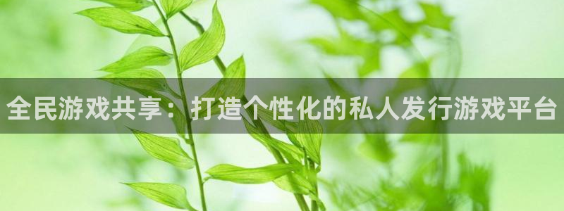 新航娱乐扣款详情：全民游戏共享：打造个性化的私人发行游戏平台