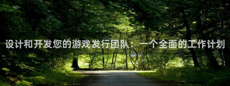 新航娱乐飞.3.3.4.8.2新航娱乐.可以吗.长久.中国：设计和开发您的游戏发行团队：一个全面的工作计划