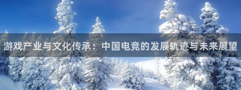 新航娱乐的会员权益与保障