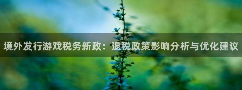新航娱乐公司扣费流程详解视频大全：境外发行游戏税务新政：退税政策影响分析与优化建议