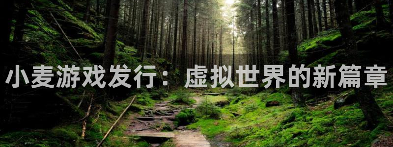 新航娱乐扣款详情：小麦游戏发行：虚拟世界的新篇章